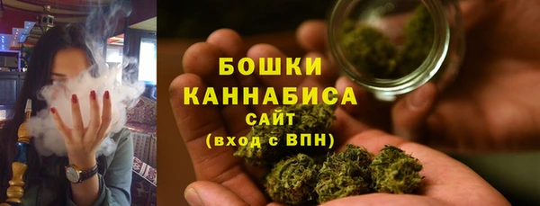 стаф Горняк