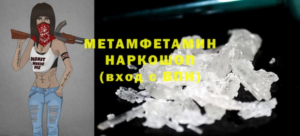 индика Горнозаводск