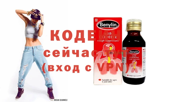 индика Горнозаводск
