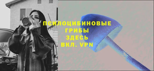 индика Горнозаводск