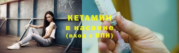 индика Горнозаводск