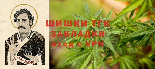 индика Горнозаводск