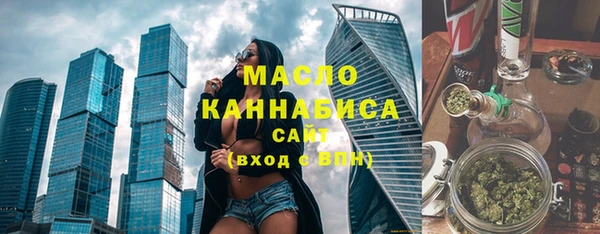 индика Горнозаводск