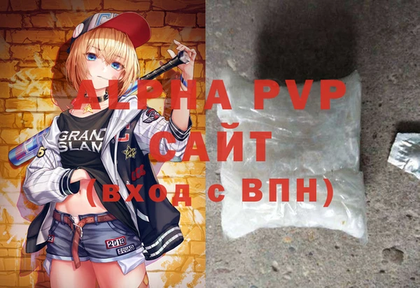 индика Горнозаводск