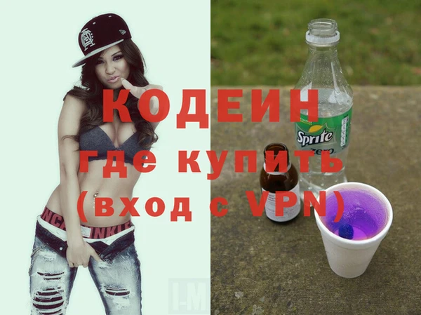 индика Горнозаводск