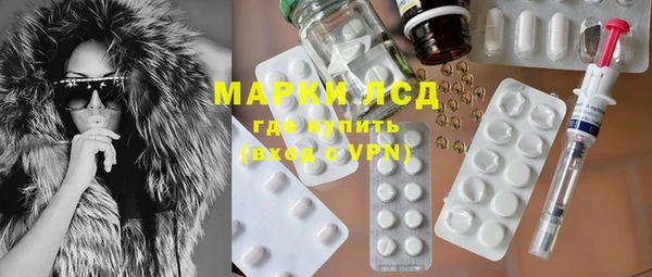 стаф Горняк