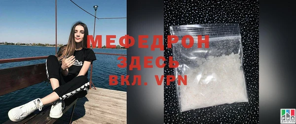 индика Горнозаводск