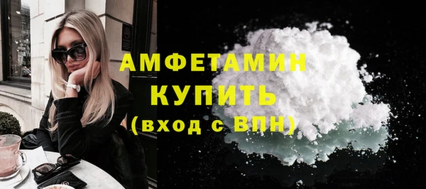 стаф Горняк