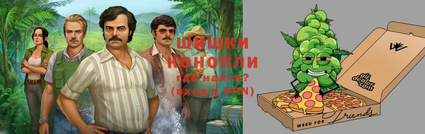 индика Горнозаводск