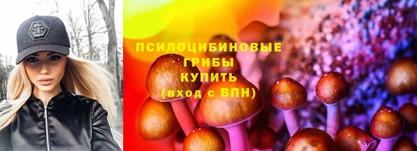 прущая мука Горно-Алтайск