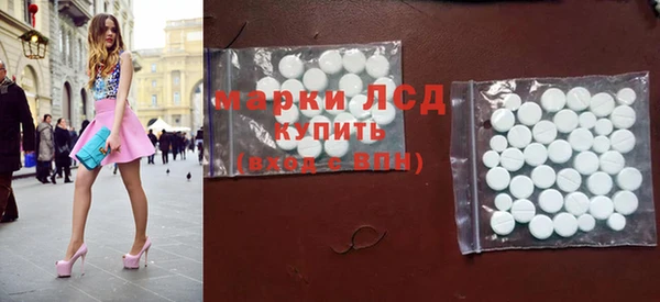 индика Горнозаводск