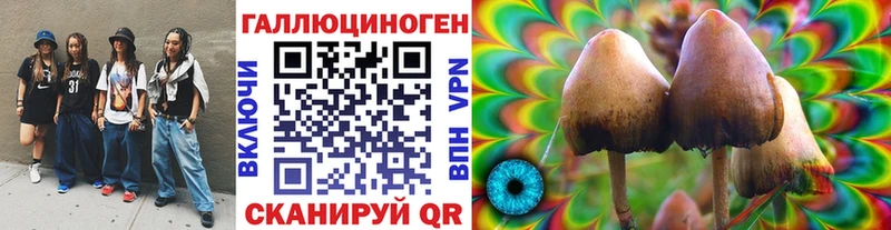 Псилоцибиновые грибы ЛСД  mega онион  Яхрома 